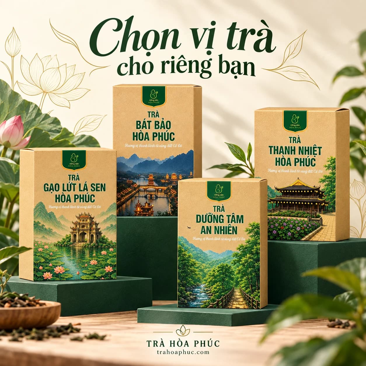 Lần đầu chọn trà Hòa Phúc, bắt đầu từ đâu?